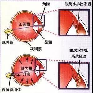 微信图片_.jpg