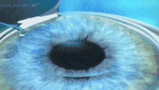 640 (2).gif 640 (2).gif